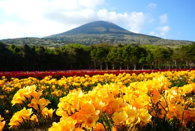 🌊 난바라센조지키 해안 (난바라센조이와카이간) 이미지 2